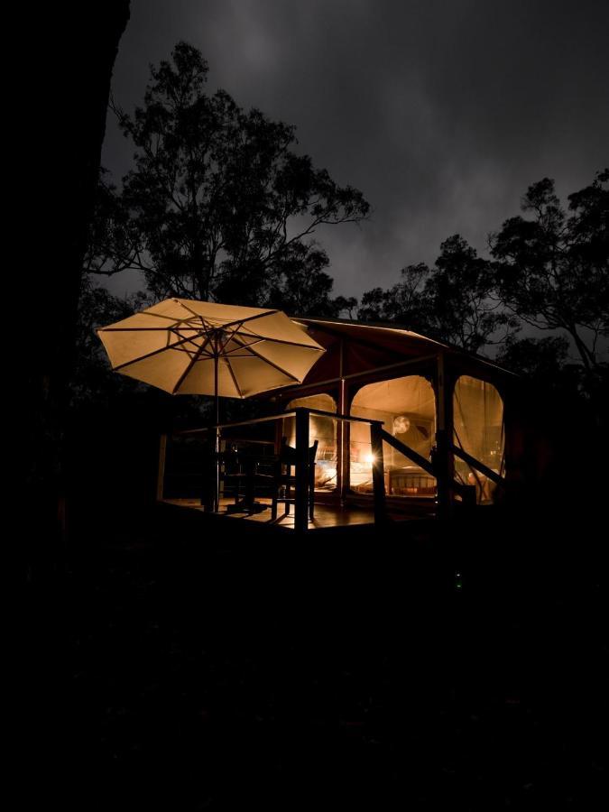 Wild Nature Lodge, Mareeba Wetlands Biboohra Exterior photo