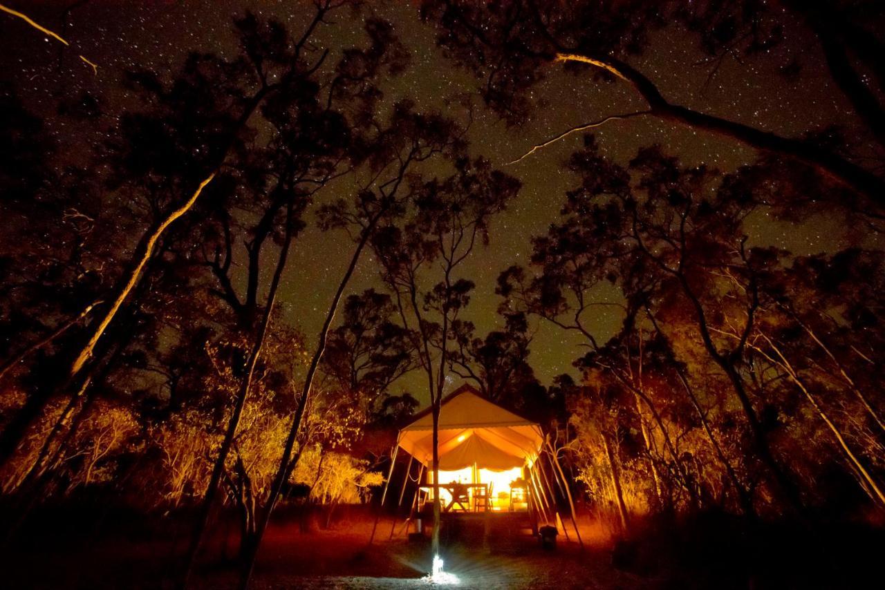 Wild Nature Lodge, Mareeba Wetlands Biboohra Exterior photo
