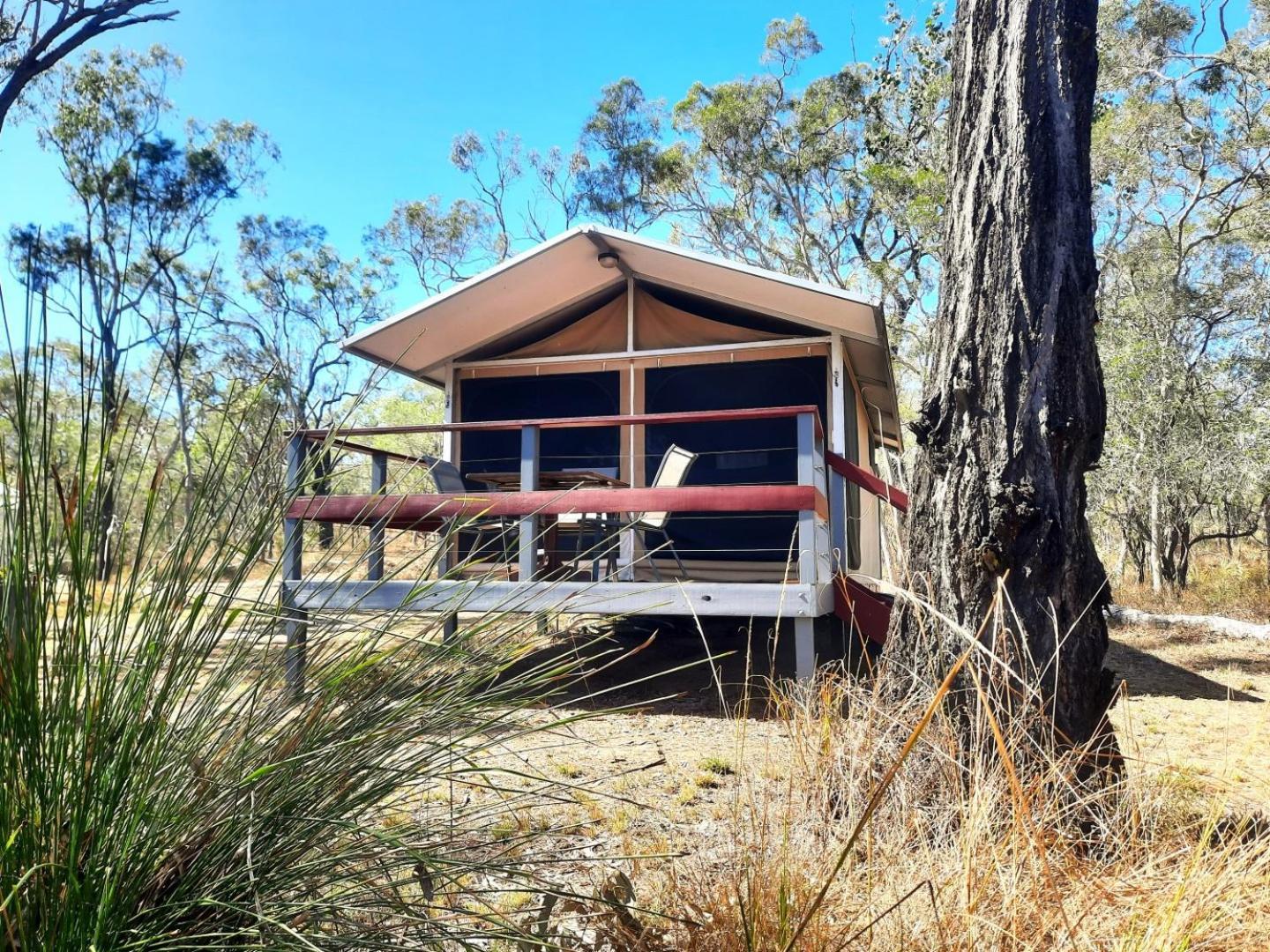 Wild Nature Lodge, Mareeba Wetlands Biboohra Exterior photo